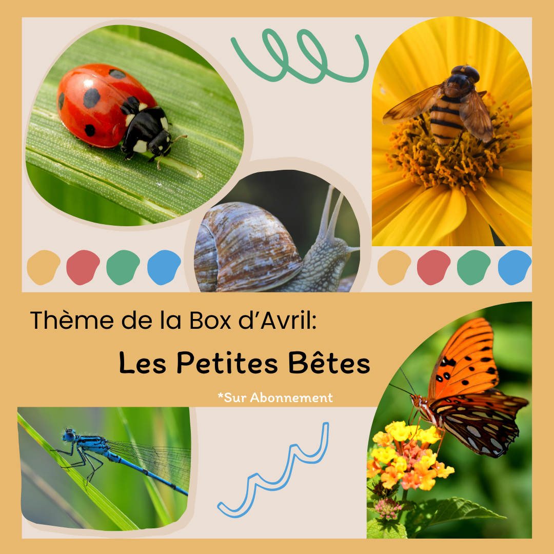 thème de la box d'Avril : Les Petites Bêtes 