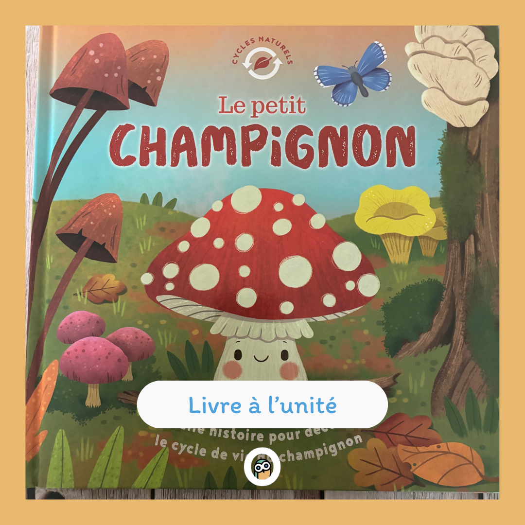 Le petit Champignon est un album illustré et une belle histoire pour expliquer aux enfants le cycle de vie des champignons.